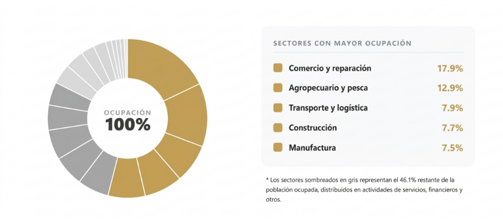 Gráfico 1: Porcentaje de ocupación según actividad económica del país (2025).